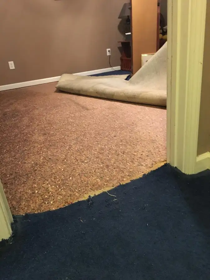 Carpet pad removal revealing water damage during Water Mitigation Services in Stonington