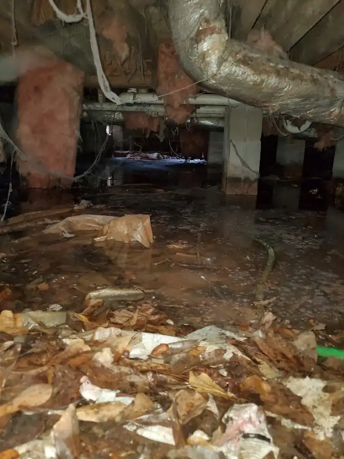 Crawl space flood assessment for Leak Detection & Repair in Stonington