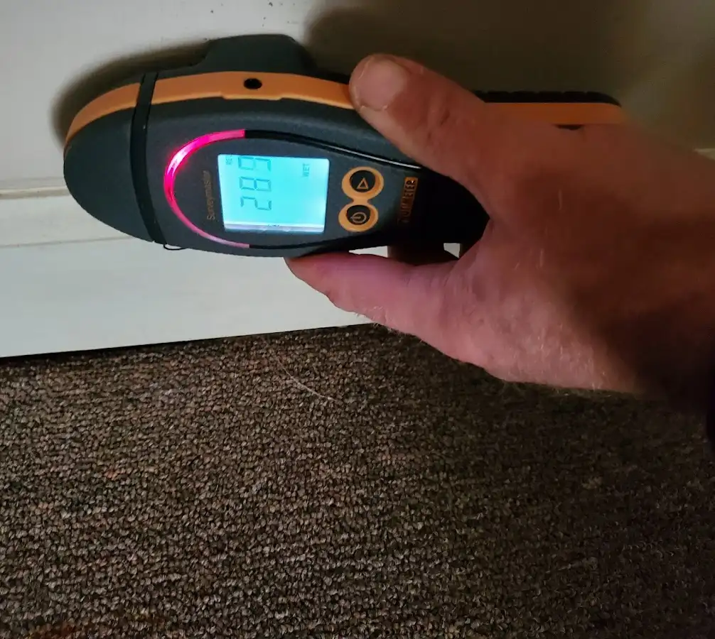 Moisture detection at baseboard during Mold Inspection & Testing in Stonington